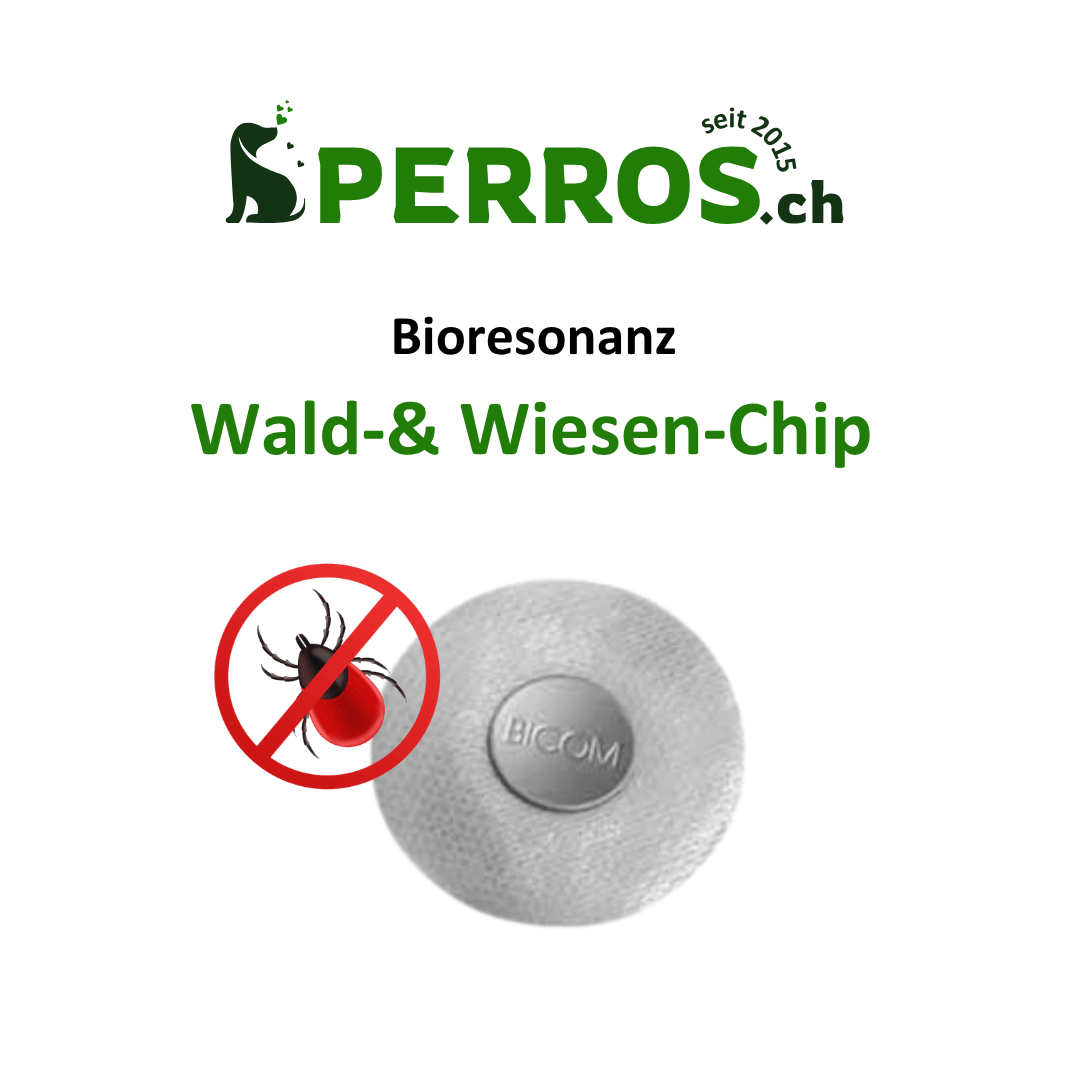 perros.ch
