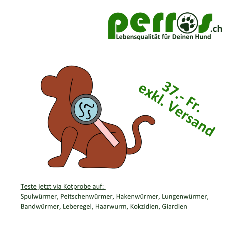 parasitologischer-untersuch-kotscreen-perros-ch